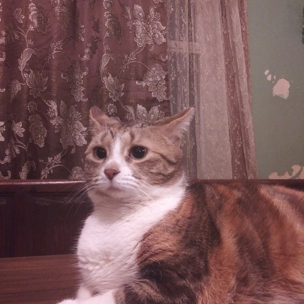 Meet your Posher, Brianna